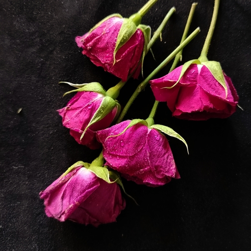 Photo #13848223