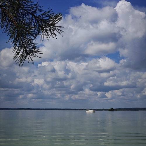 Photo #13848300
