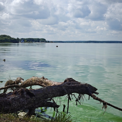 Photo #13848301