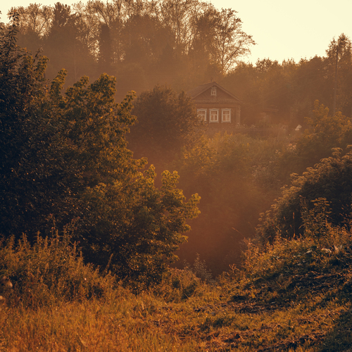 Photo #13848325