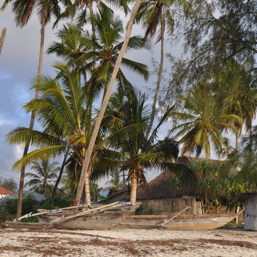 Photo #13848382