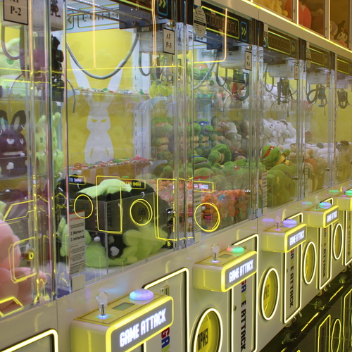 Photo #13848446