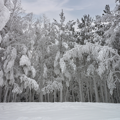 Photo #13848490