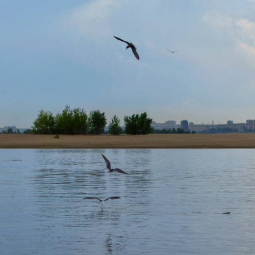 Photo #13848558