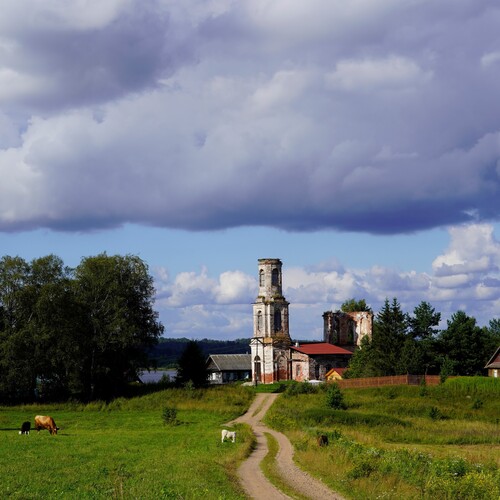 Photo #13848571