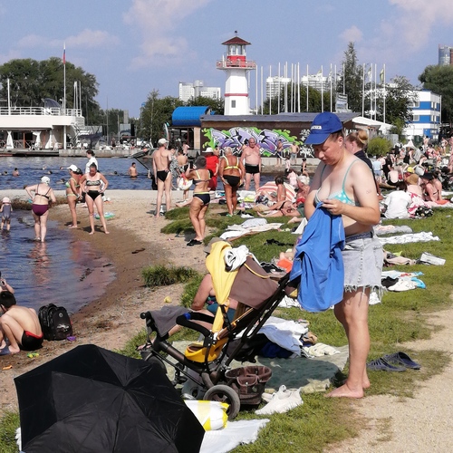Photo #13848589