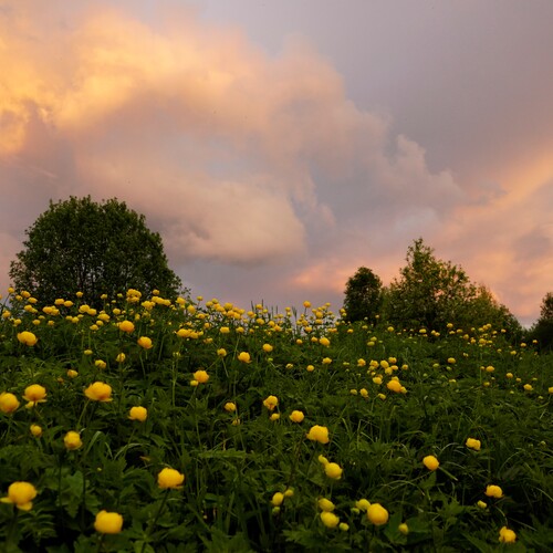 Photo #13848599