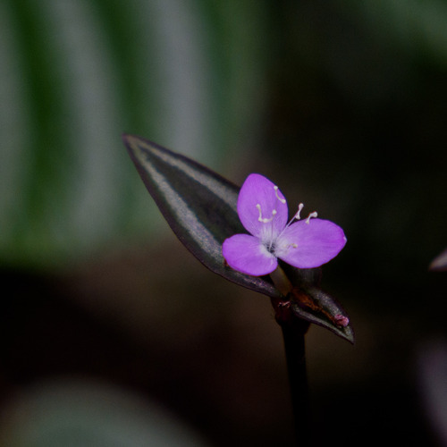 Photo #13848620