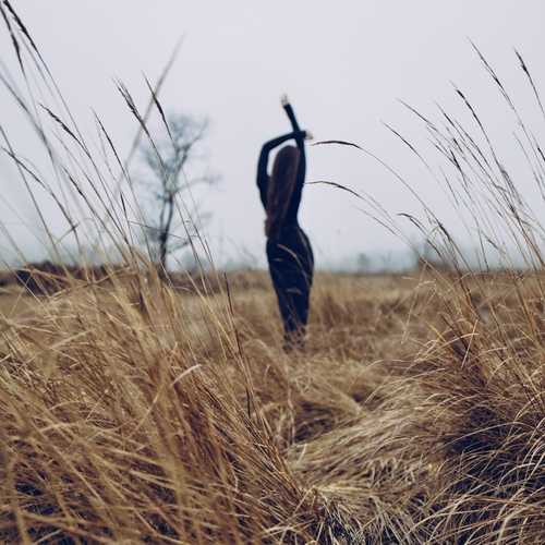 Photo #13848675