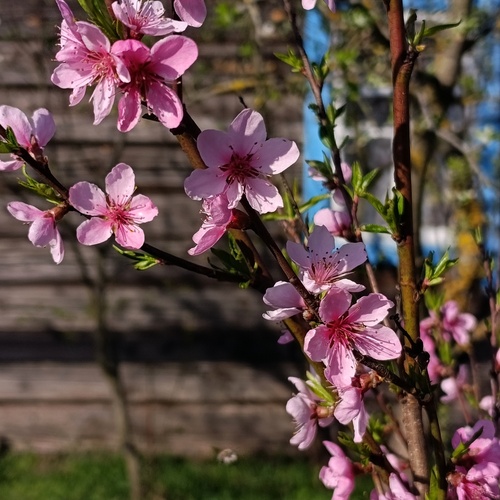 Photo #13848689
