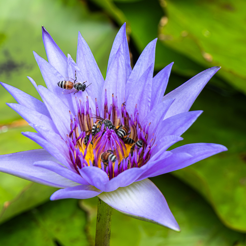 Photo #13848712