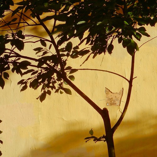 Photo #13848786