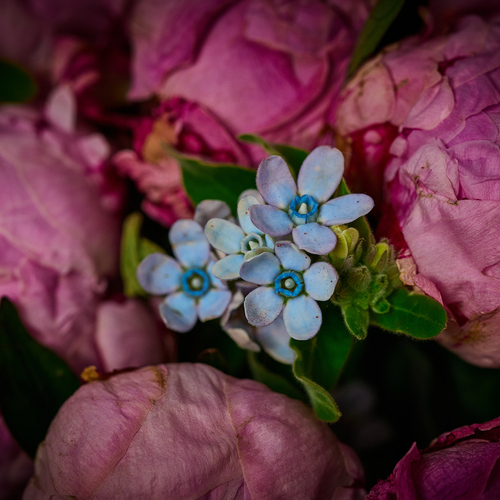 Photo #13848834
