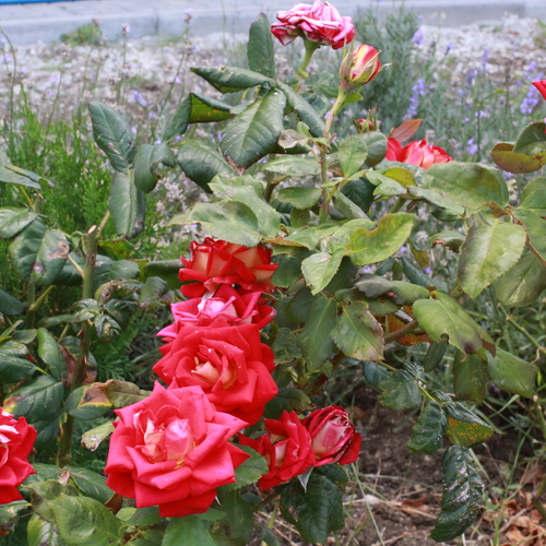 Photo #13848868