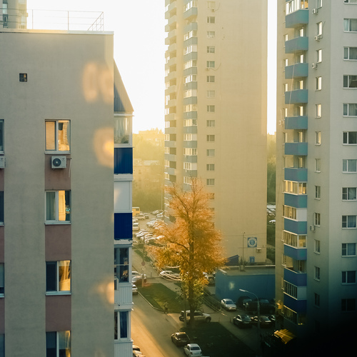 Photo #13848909