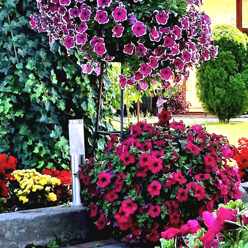 Layers of Summer Elegance