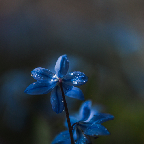 Photo #13849053
