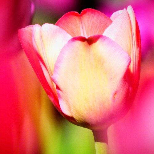 Photo #13849120