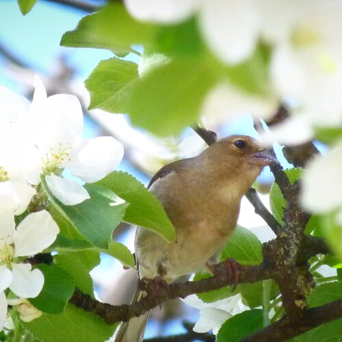 Photo #13849121