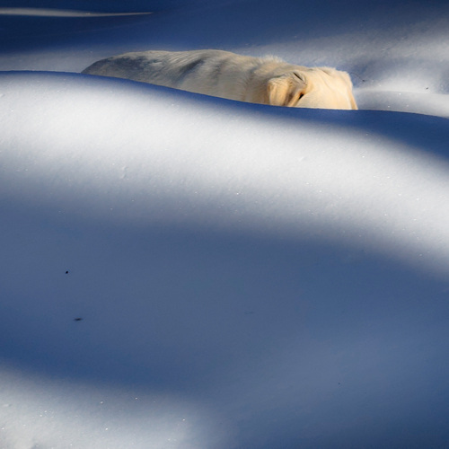 Photo #13849499