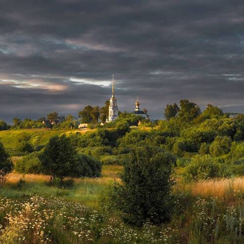 Photo #13849542
