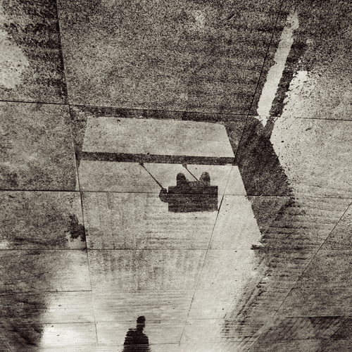 Photo #13849553