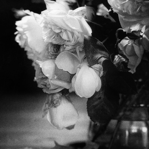 Photo #13849555