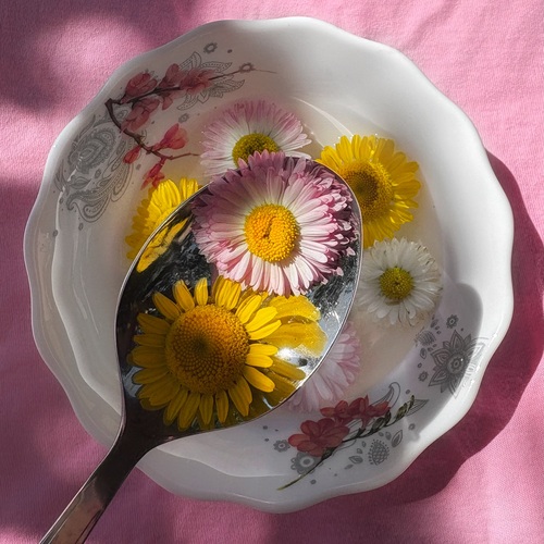 Photo #13849685