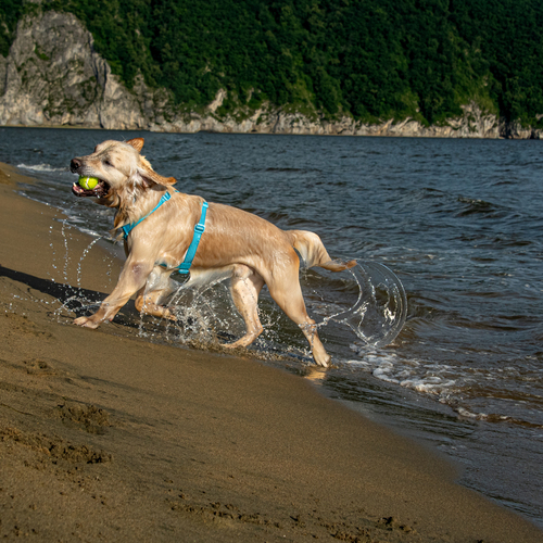 Photo #13849773