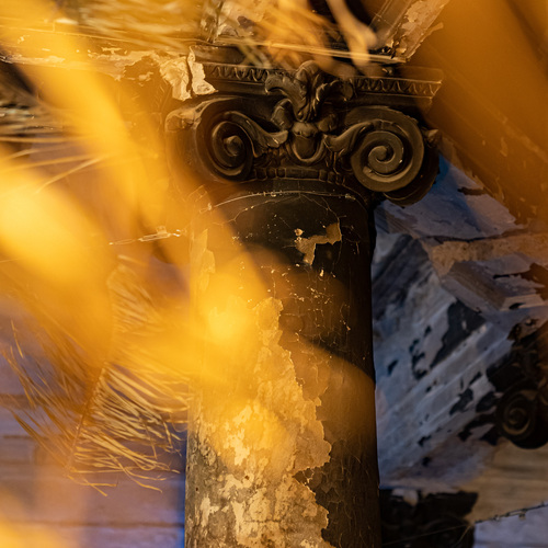 Photo #13849786