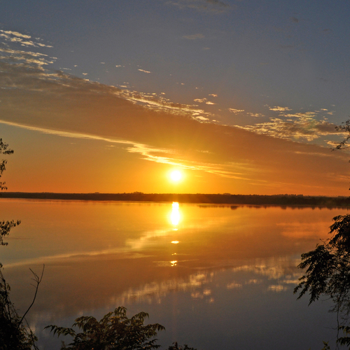 Photo #13849825