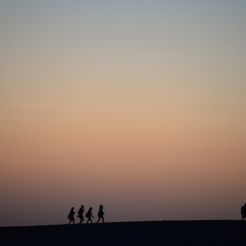 Photo #13849840