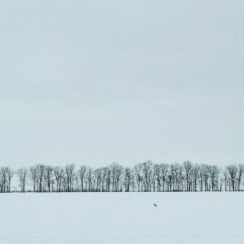 Фотография #13849868