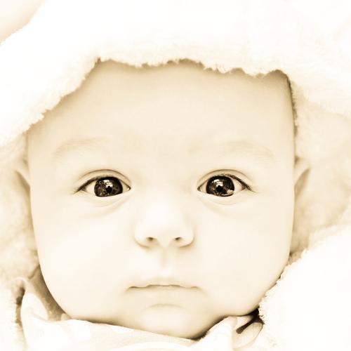 Photo #1385362