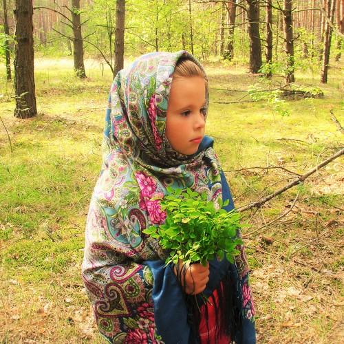 Photo #1387560