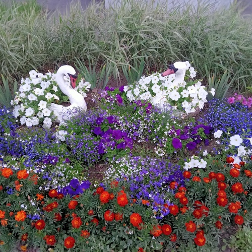 Photo #13850008