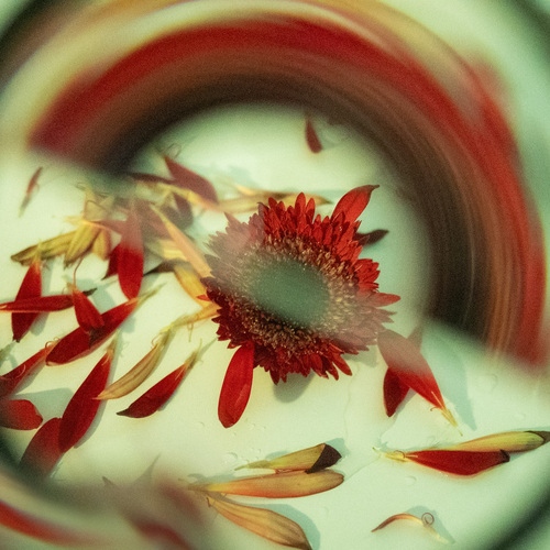 Photo #13850074