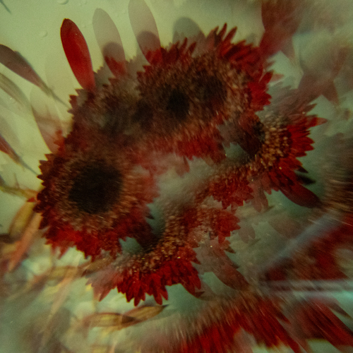 Photo #13850080