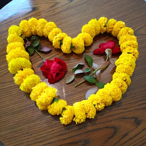 Photo #13850124