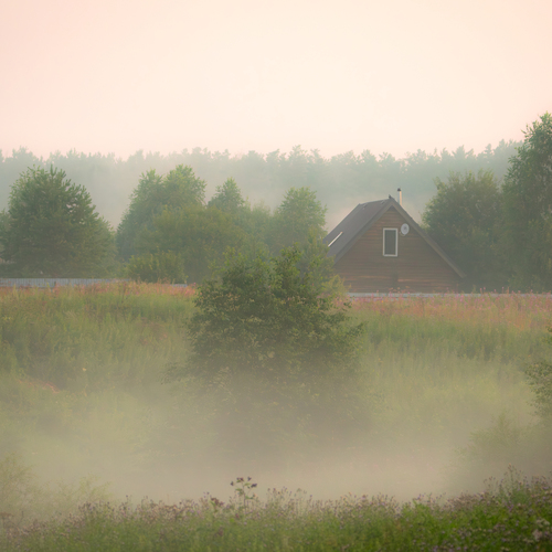 Photo #13850126