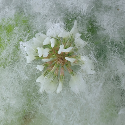 Photo #13850245