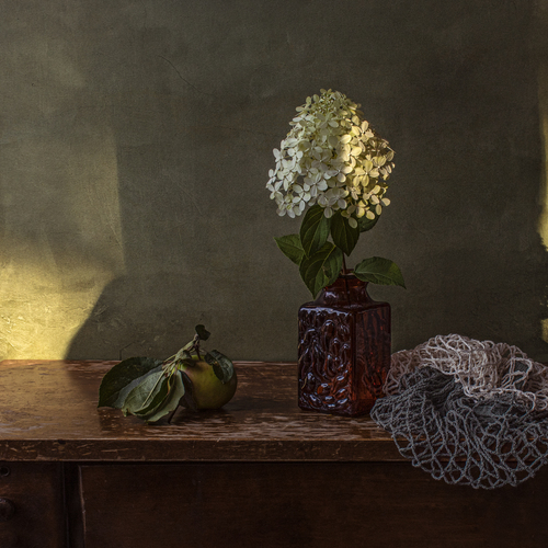 Photo #13850283