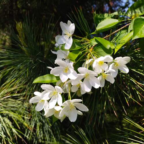 Photo #13850334