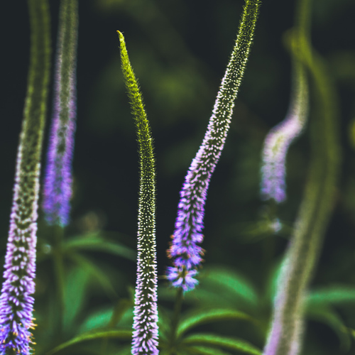 Photo #13850346
