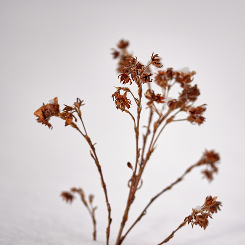 Photo #13850464