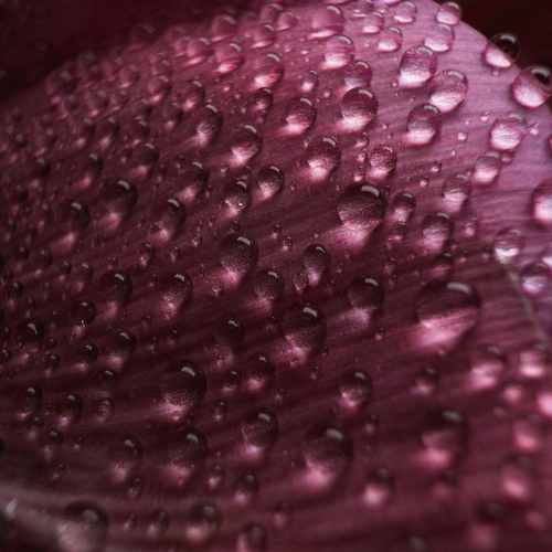 Photo #13850482