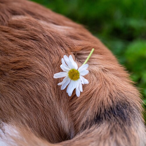 Photo #13850542