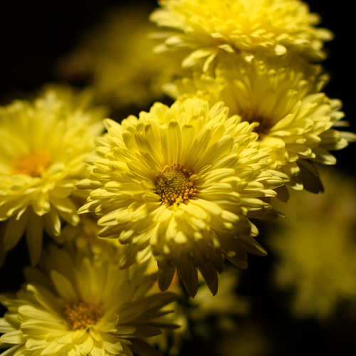 Photo #13850544