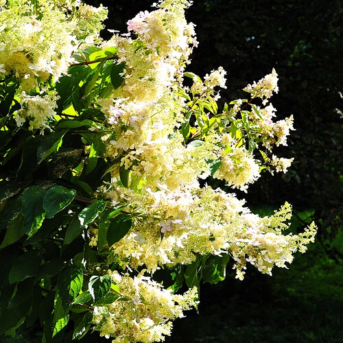 Photo #13850596
