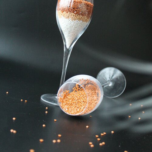 Photo #13850623